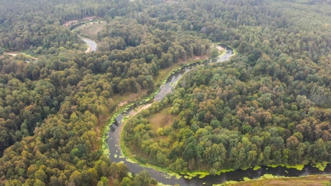 В лесах Марий Эл по-прежнему сохраняется высокая пожароопасность