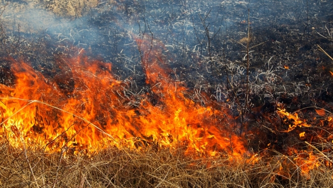 Из-за загоревшейся травы в Марий Эл погибла женщина