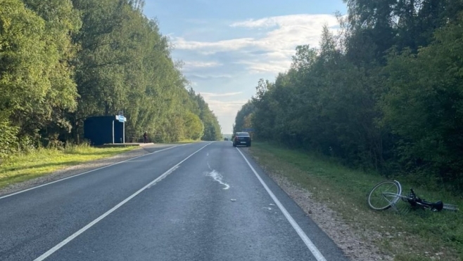 В Моркинском районе автоледи сбила велосипедиста