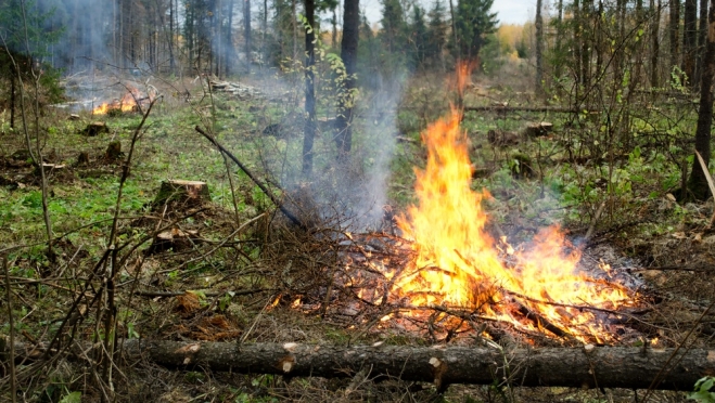 В лесах Марий Эл завершается пожароопасный сезон