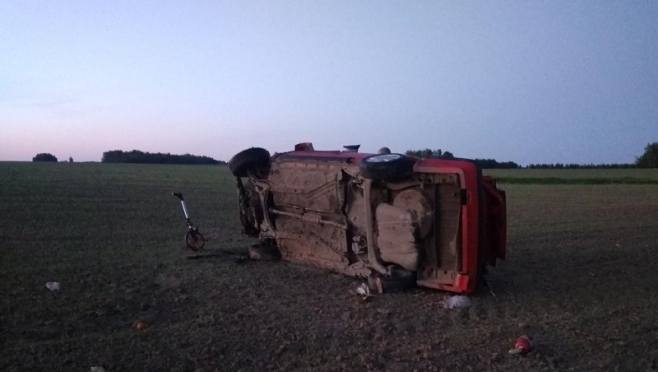 В Оршанском районе пьяный водитель на иномарке перевернулся  в кювет