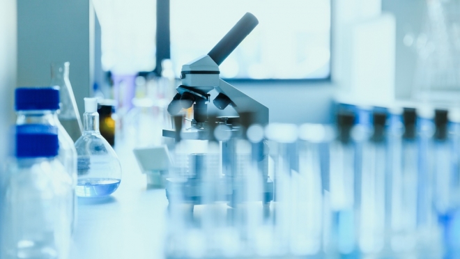 Ветеринары Йошкар-Олы проверили лису на бешенство