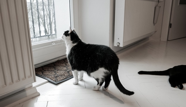 В ПФО самое дешёвое жильё в частном секторе в Уфе