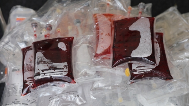 В Йошкар-Оле на станции переливании крови ждут доноров крови всех групп