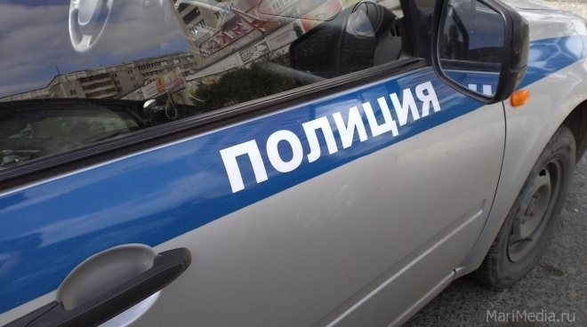 Полиция Марий Эл предупреждает об ответственности за участие в несанкционированных акциях