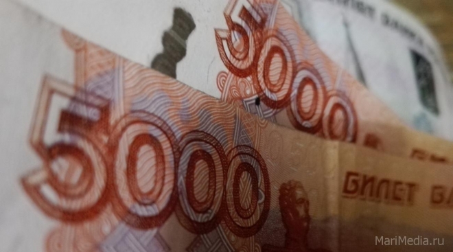 Жители Марий Эл смогут получать до 36 тысяч рублей стимулирующих госвыплат в год