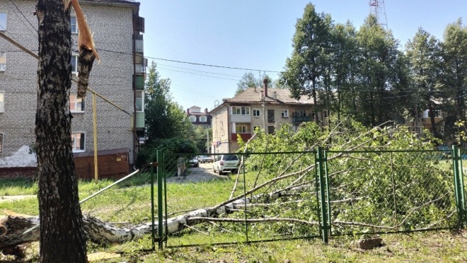 В детском лагере Володи Дубинина в Медведевском районе ураган повалил несколько деревьев