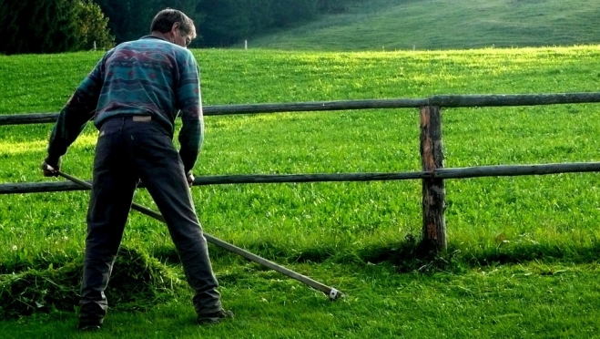 В пылу пьяной ссоры житель Параньгинского района ударил жену косой