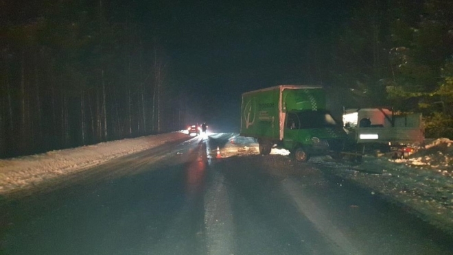 На 11 км автодороги «Кокшайск – Красногорский» иномарка врезалась в «Газель»