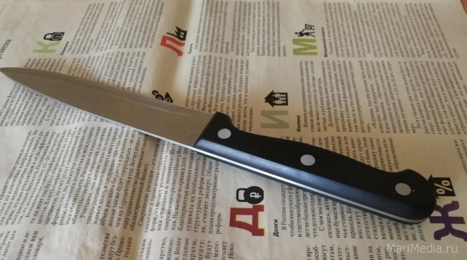 Жительница Волжска проведёт в колонии 2 года за один удар ножом