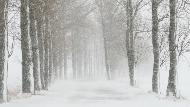 Синоптики Марий Эл передали экстренное предупреждение
