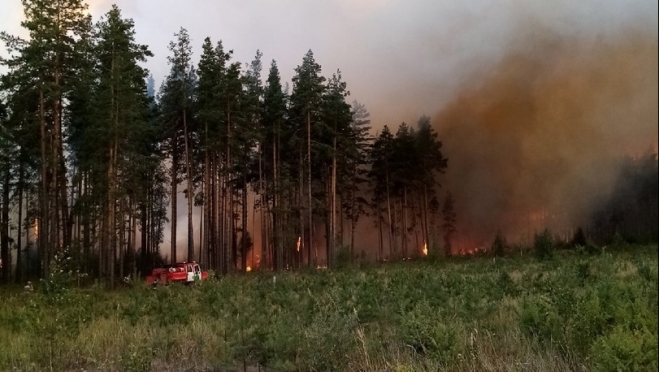 Лесной пожар угрожает перекинуться на территорию Звениговского района