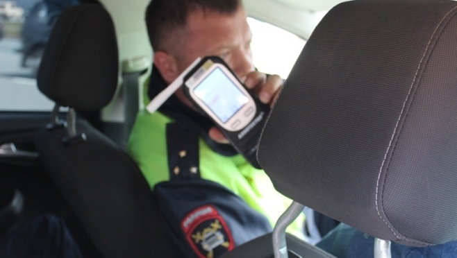 По вине пьяных водителей в Марий Эл погибло семь человек