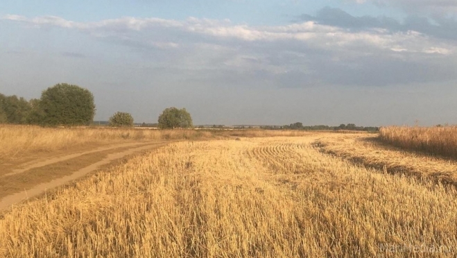 В последний день лета в Марий Эл придёт жара до +28 градусов