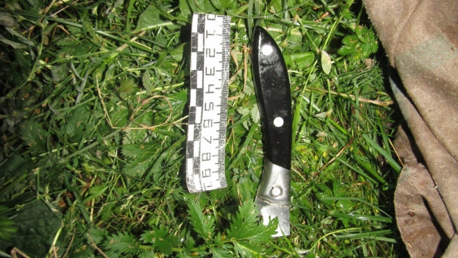 Житель Татарстана убил пенсионера в Параньгинском районе