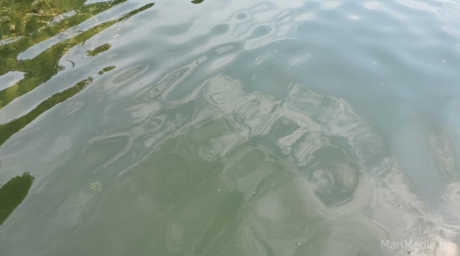 В Марий Эл на озере Серебряное утонул 39-летний мужчина