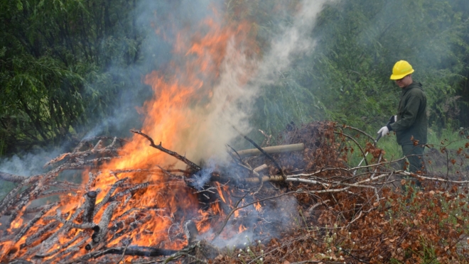 В Марий Эл 26 апреля объявлено началом пожароопасного сезона в лесах республики