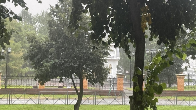 Жителей Марий Эл предупреждают о грозе, сильном дожде и ветре