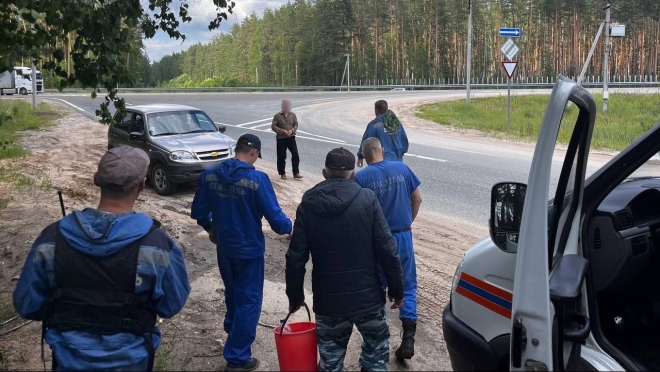 В Медведевском районе в лесу заблудился 75-летний мужчина