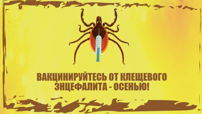 Осенью начинается прививочная кампания против клещевого энцефалита