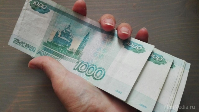 В качестве подарка россиянам на Новый год предлагают зарплату депутатов приравнять к средней по РФ