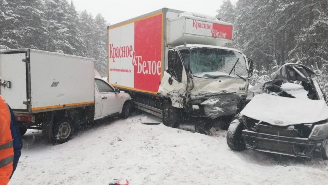 В Звениговском районе в ДТП разбились два человека