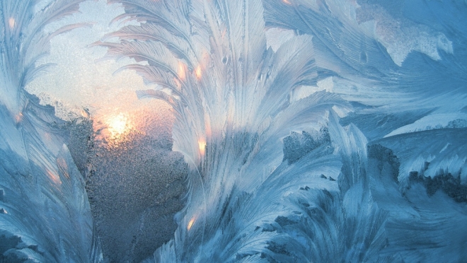 24 ноября — Фёдор Мороз