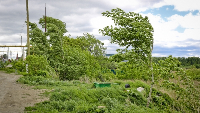 В Марий Эл надвигается очень сильный ветер