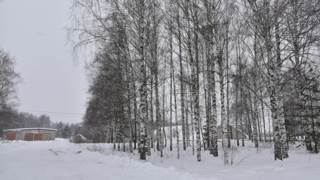 Пропавшего в Волжском районе мужчину теперь ищут в лесу