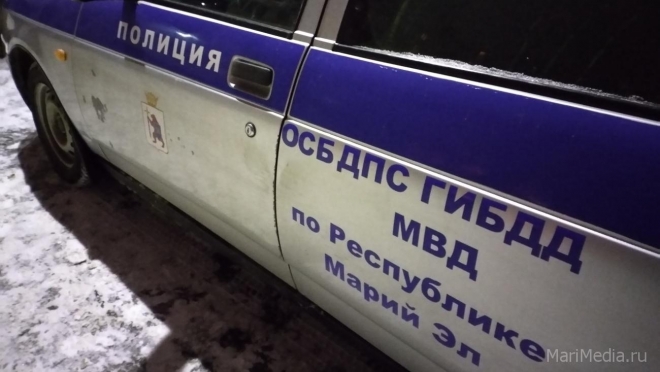 Ночью в Медведевском районе на сельской дороге сбили пешехода
