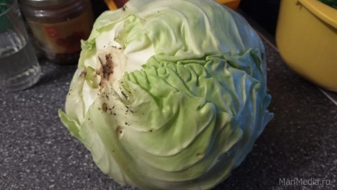 Три продукта замедляющих процессы старения