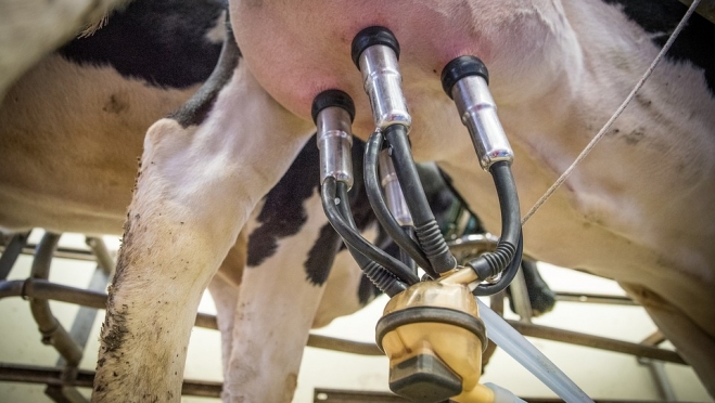 В Сернурском районе украли доильный аппарат