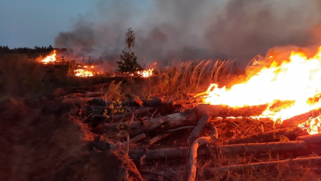 В Марий Эл зарегистрировано больше 20 лесных пожаров
