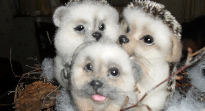 Под рождественской звездой