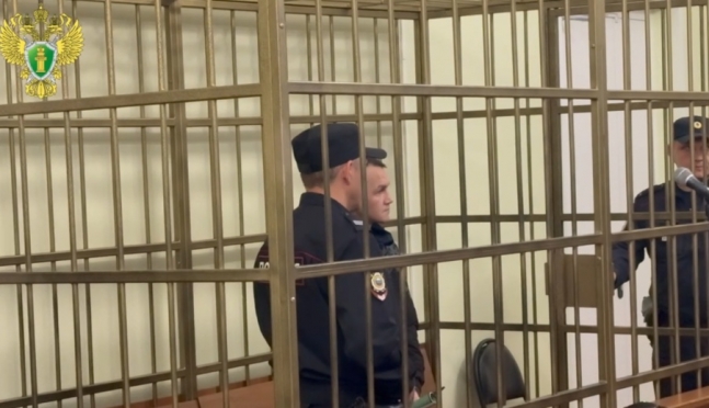 Жителя Марий Эл приговорили к пожизненному заключению за убийство женщины и двух малолетних детей