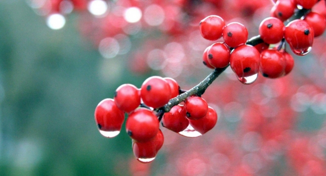 Гимнастика Славянских Чаровниц