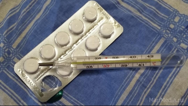 Гриппом и ОРВИ массово болеет всё население Марий Эл