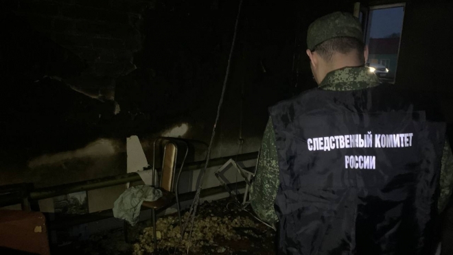 В Новом Торъяле на пожаре погибла женщина