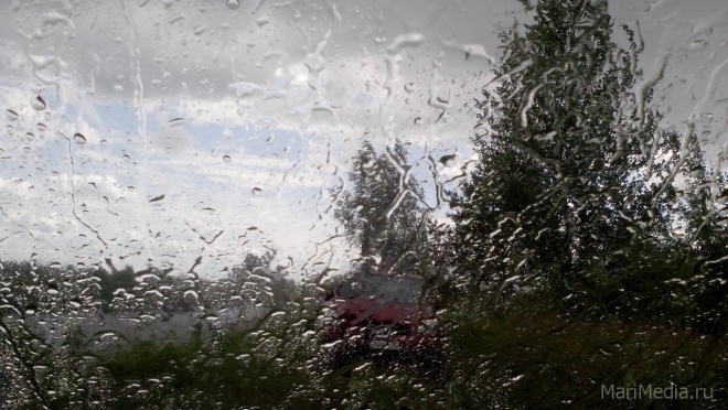 В Марий Эл ожидаются дожди и грозы