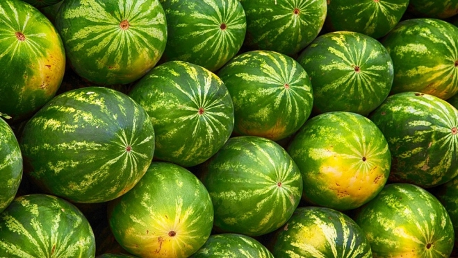 В Йошкар-Оле объявлен аукцион на размещение бахчевых развалов