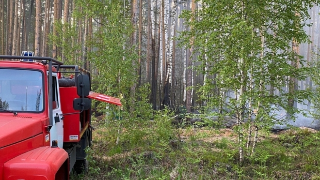 В Марий Эл местами ожидается чрезвычайная пожароопасность лесов 5 класса