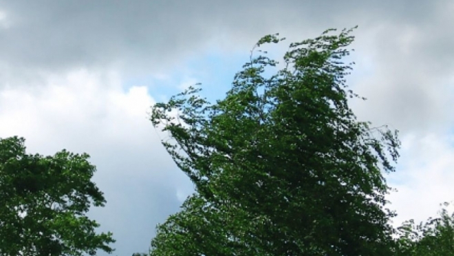 В течение дня в Марий Эл ожидается сильный ветер