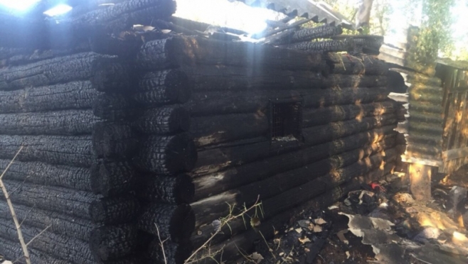 В Силикатном на пожаре погибла домашняя птица