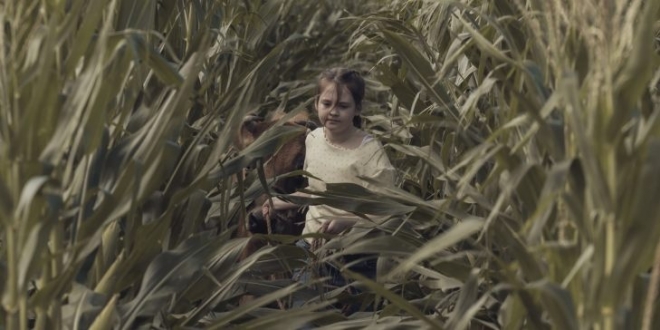 Дети кукурузы