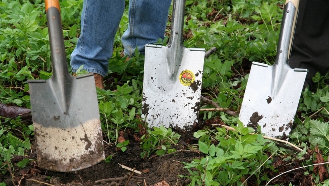 Жители Марий Эл активно захватывают чужие земли