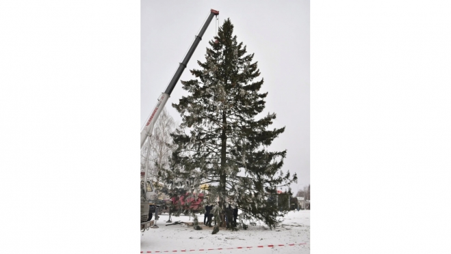 На центральной площади Медведево установили ёлку