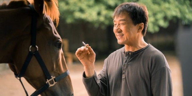 Кунг-фу жеребец