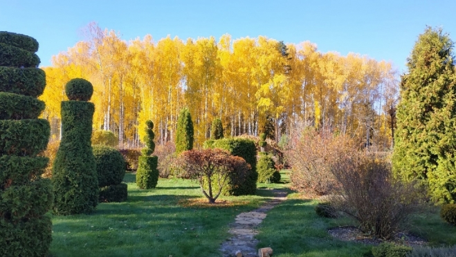 Туристические проекты Марий Эл заявлены на премию «Комсомольской правды»