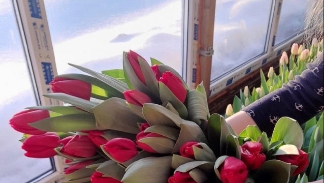 В Кировской области отмечают ажиотажный спрос на тюльпаны