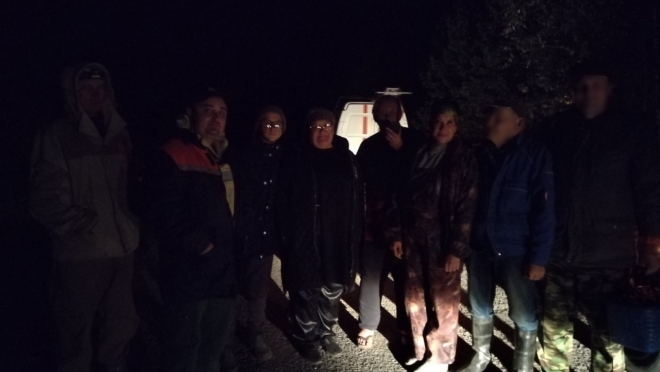 В лесу Медведевского района до глубокой ночи искали заблудившегося пенсионера